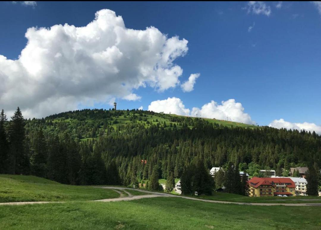 Ferienwohnung Feldberg Mit Whirlpool Direkt An Der Skipiste Zewnętrze zdjęcie